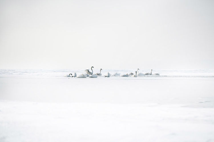 gallery_img_242_6__akos-major-o-fotografikos-minimalismos-stin-praksi