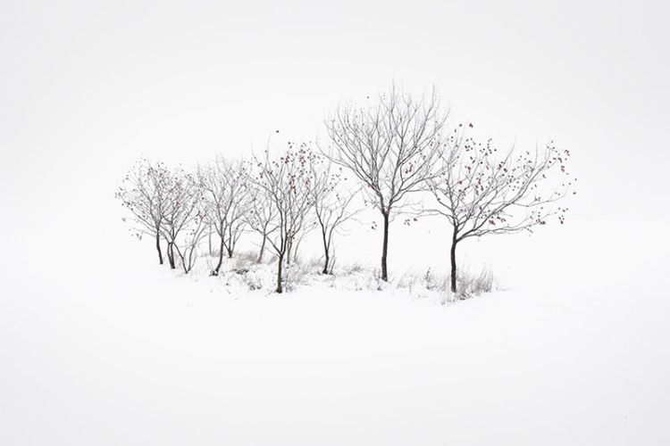 gallery_img_242_5__akos-major-o-fotografikos-minimalismos-stin-praksi