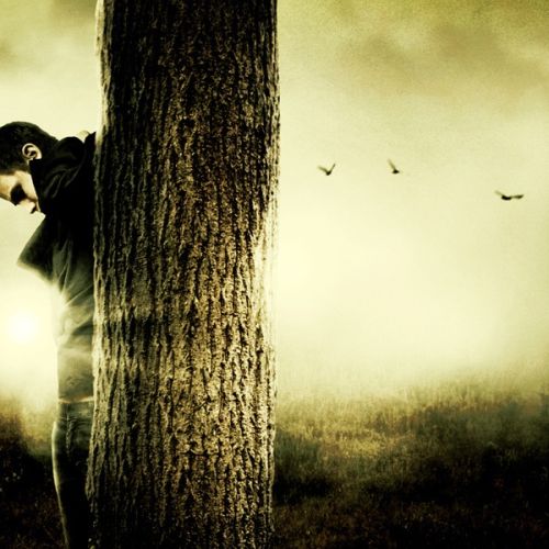 gallery_img_70_12__stranka-martin