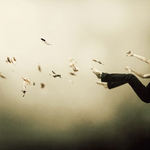 gallery_img_70_5__stranka-martin