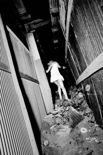 gallery_img_79_13__the-stray-dog-daido-moriyama