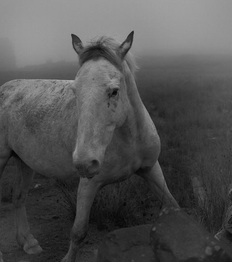 fotografia-tis-imeras-17-10-2023